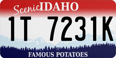 ID license plate 1T7231K