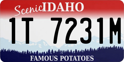 ID license plate 1T7231M