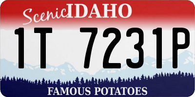 ID license plate 1T7231P