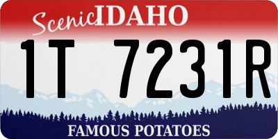 ID license plate 1T7231R