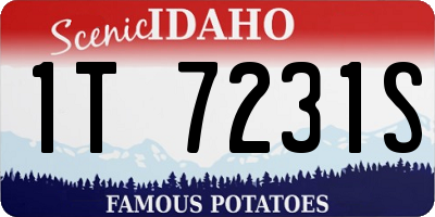 ID license plate 1T7231S