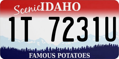 ID license plate 1T7231U