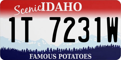 ID license plate 1T7231W