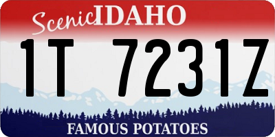 ID license plate 1T7231Z