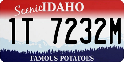 ID license plate 1T7232M