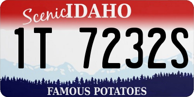 ID license plate 1T7232S