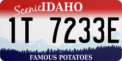 ID license plate 1T7233E