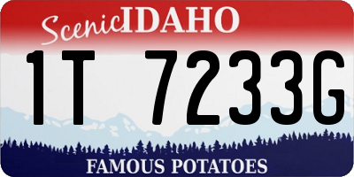ID license plate 1T7233G