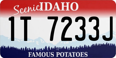 ID license plate 1T7233J