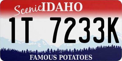 ID license plate 1T7233K