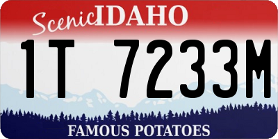 ID license plate 1T7233M