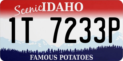 ID license plate 1T7233P