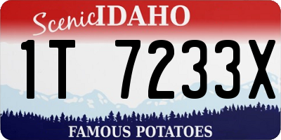 ID license plate 1T7233X