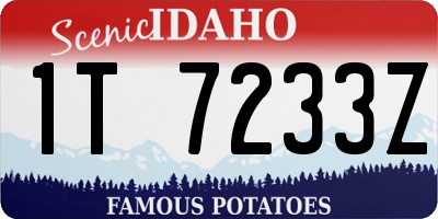 ID license plate 1T7233Z