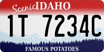 ID license plate 1T7234C