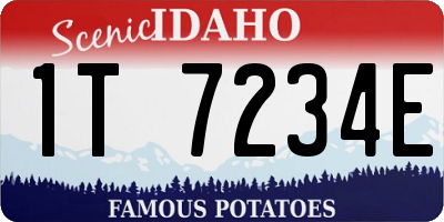 ID license plate 1T7234E