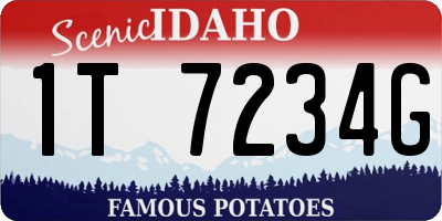 ID license plate 1T7234G