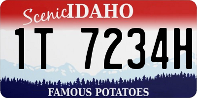 ID license plate 1T7234H
