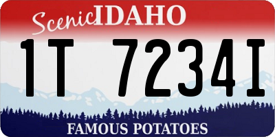 ID license plate 1T7234I