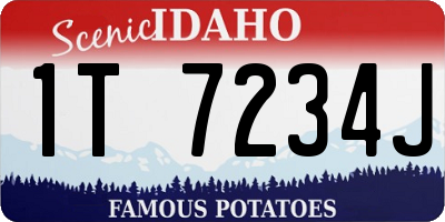 ID license plate 1T7234J