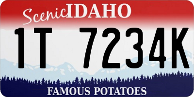 ID license plate 1T7234K