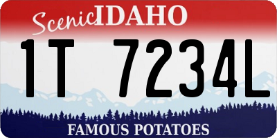ID license plate 1T7234L