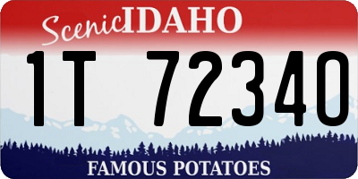 ID license plate 1T7234O