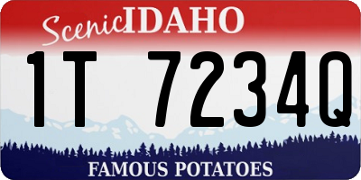 ID license plate 1T7234Q