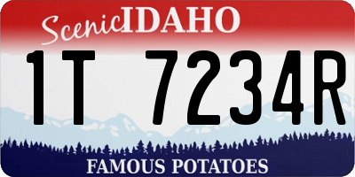 ID license plate 1T7234R