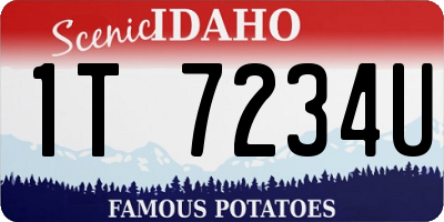 ID license plate 1T7234U
