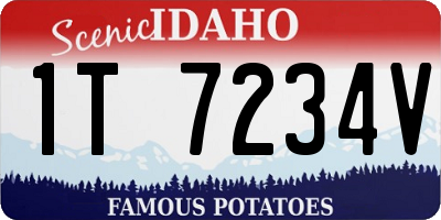 ID license plate 1T7234V