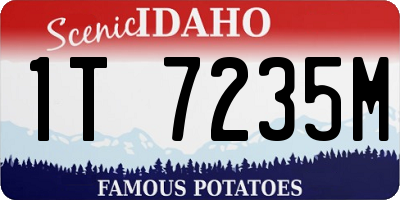 ID license plate 1T7235M