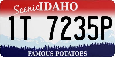ID license plate 1T7235P