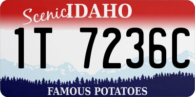 ID license plate 1T7236C