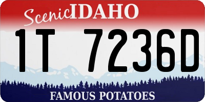 ID license plate 1T7236D