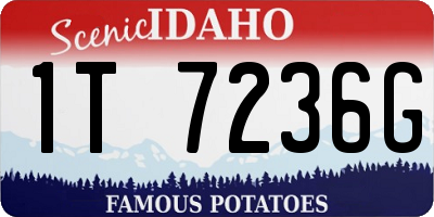 ID license plate 1T7236G