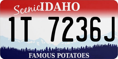 ID license plate 1T7236J