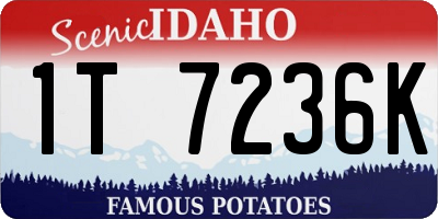 ID license plate 1T7236K