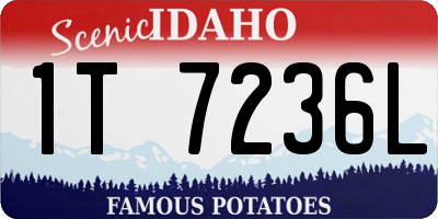 ID license plate 1T7236L