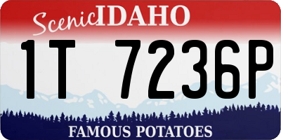 ID license plate 1T7236P