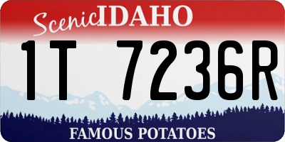 ID license plate 1T7236R