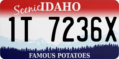 ID license plate 1T7236X