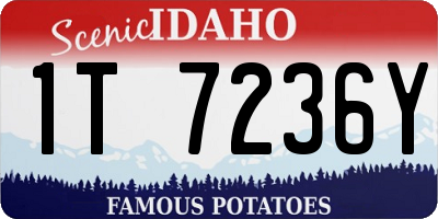 ID license plate 1T7236Y