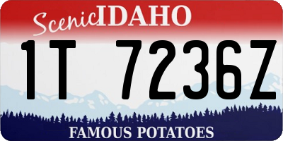 ID license plate 1T7236Z