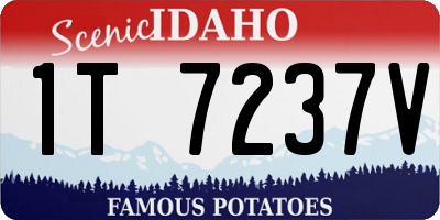 ID license plate 1T7237V