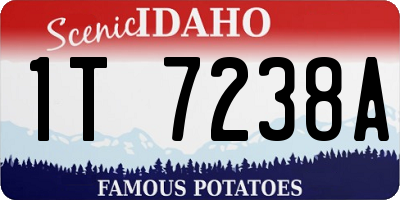 ID license plate 1T7238A