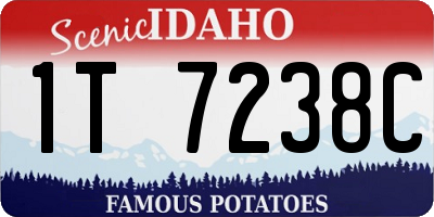 ID license plate 1T7238C