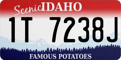 ID license plate 1T7238J