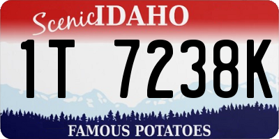 ID license plate 1T7238K
