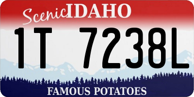 ID license plate 1T7238L
